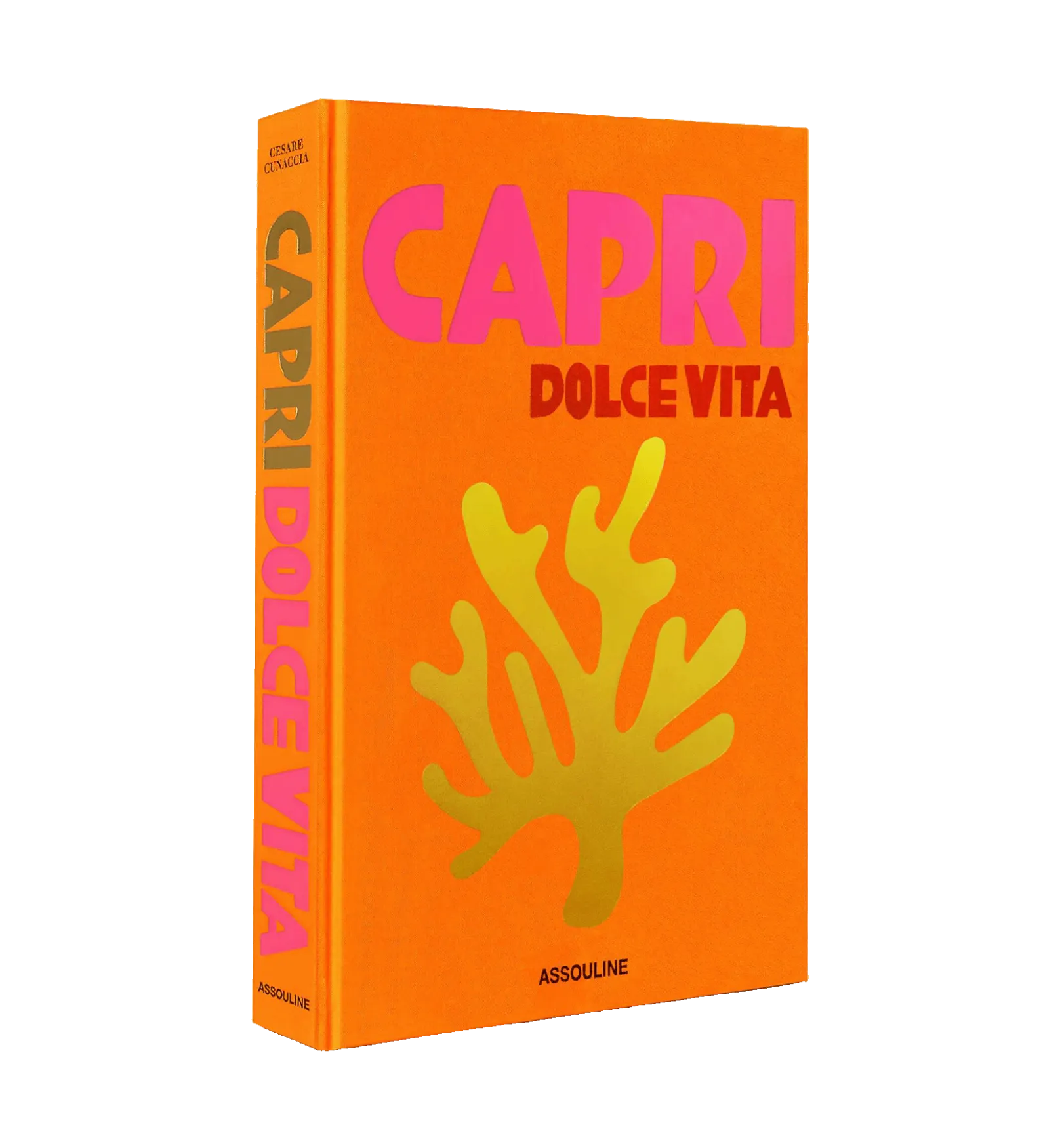 Capri Dolce Vita Book by Assouline