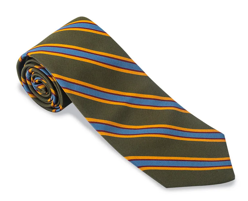 Green Vista Stripes Necktie - F5320