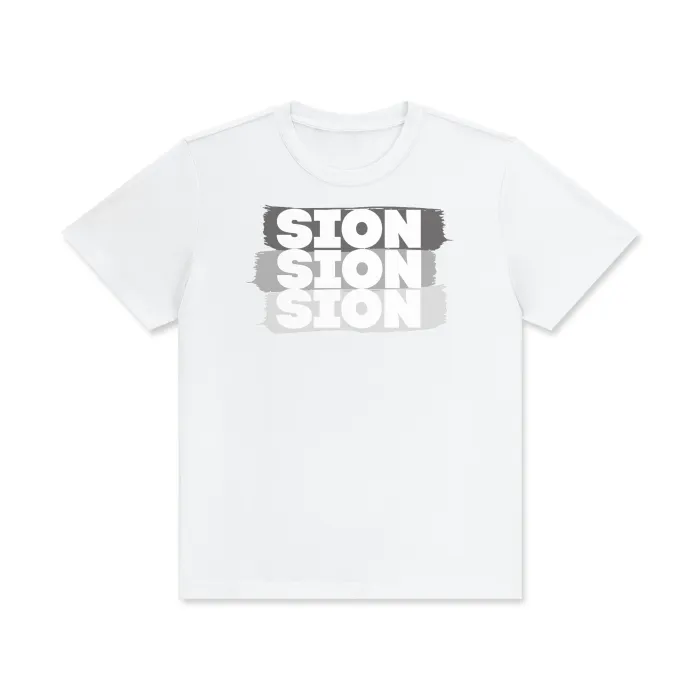 SION-gray T-Shirt